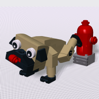 Cute Pug